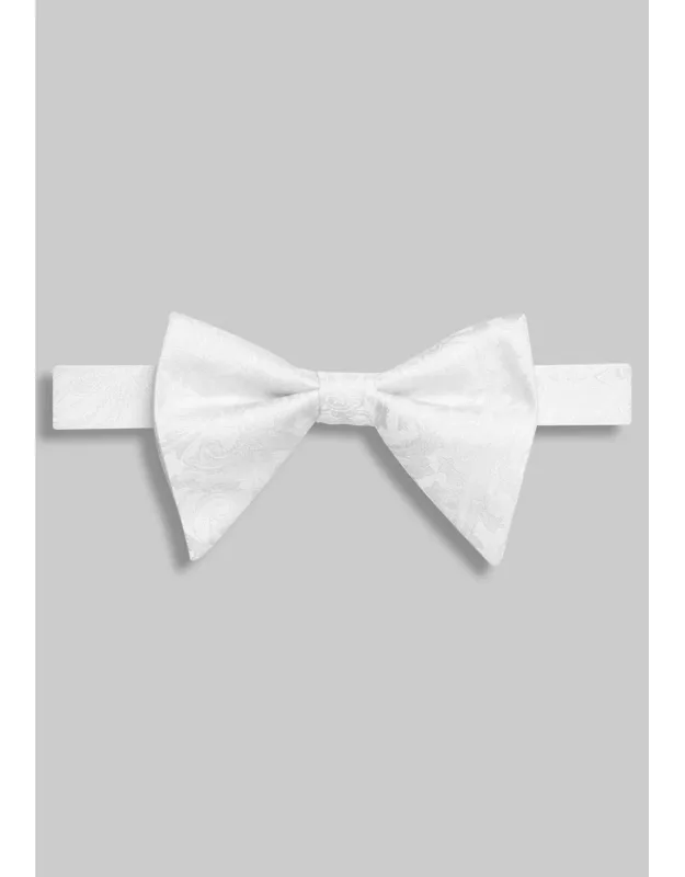 Solid Paisley Teardrop Bow Tie