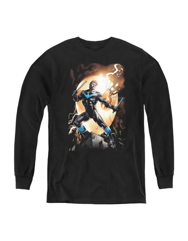 Nightwing Against Owls Long Sleeve Tee