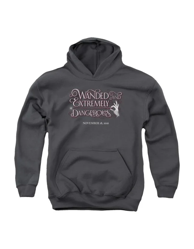 Fantastic Beasts Wanded Hoodie