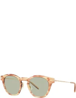 49 Mm Hinoki Tortoise Sunglasses