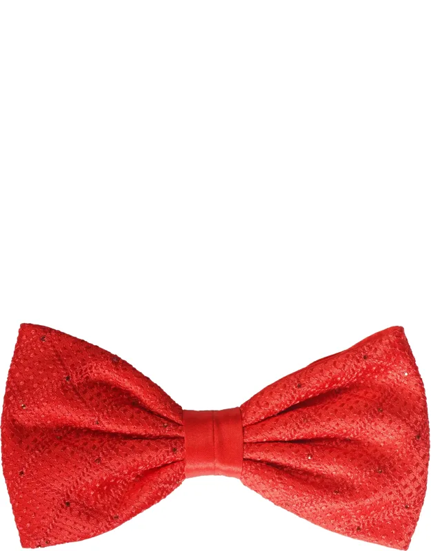 Embroidered Silk Bow Tie With Swarovski Crystals