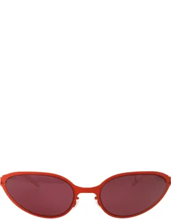 Co Bear Sunglasses