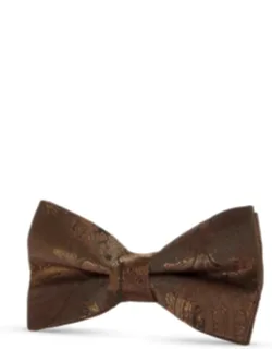 Paisley Floral Satin Bow Tie