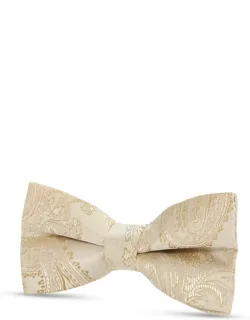 Paisley Floral Satin Bow Tie