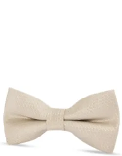Textured Satin Silk Bow Tie