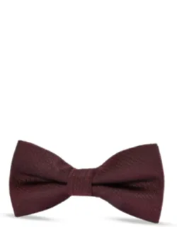 Textured Satin Silk Bow Tie