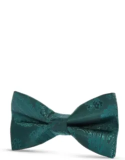 Paisley Floral Satin Bow Tie