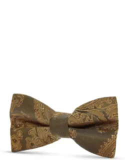 Paisley Floral Satin Bow Tie