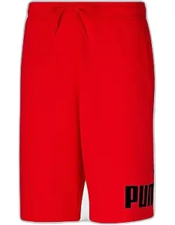 Fleece Big Logo Shorts
