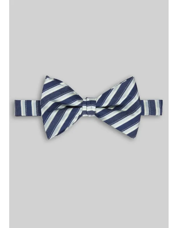 Stripe Pre-tied Big Bow Tie
