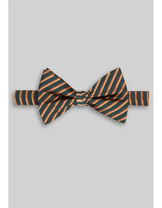 Stripe Pre-tied Big Bow Tie