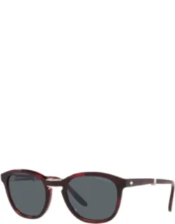 Acetate Sunglasses