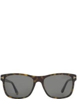 Giulio Polarized Smoke Square Sunglasses