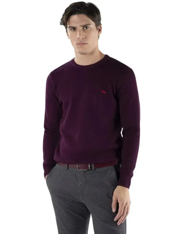 Textured Knit Sweater With Iconic Dachshund Embroidery