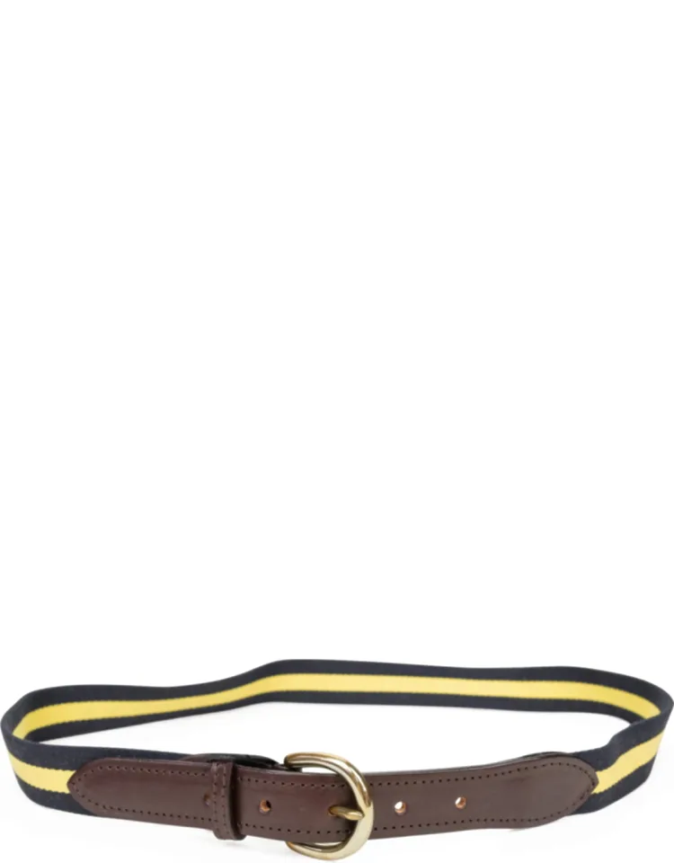 Multi Striped Web Belt