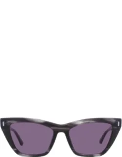 Cat Eye Sunglasses