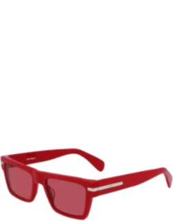 Acetate Sunglasses
