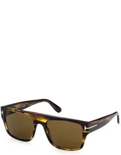Sunglasses Square Full Rim, Dark Havana Frame And Brown Lens Ft090748j